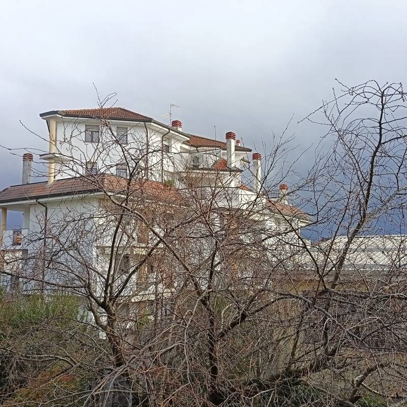 nuovoloni...
