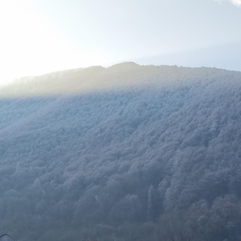 Fotosegnalazione di Comunanza capriascavalcolla