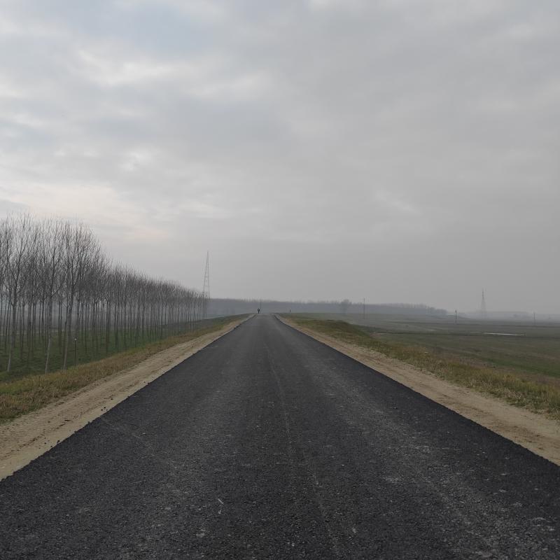 Fotosegnalazione di Zerbo