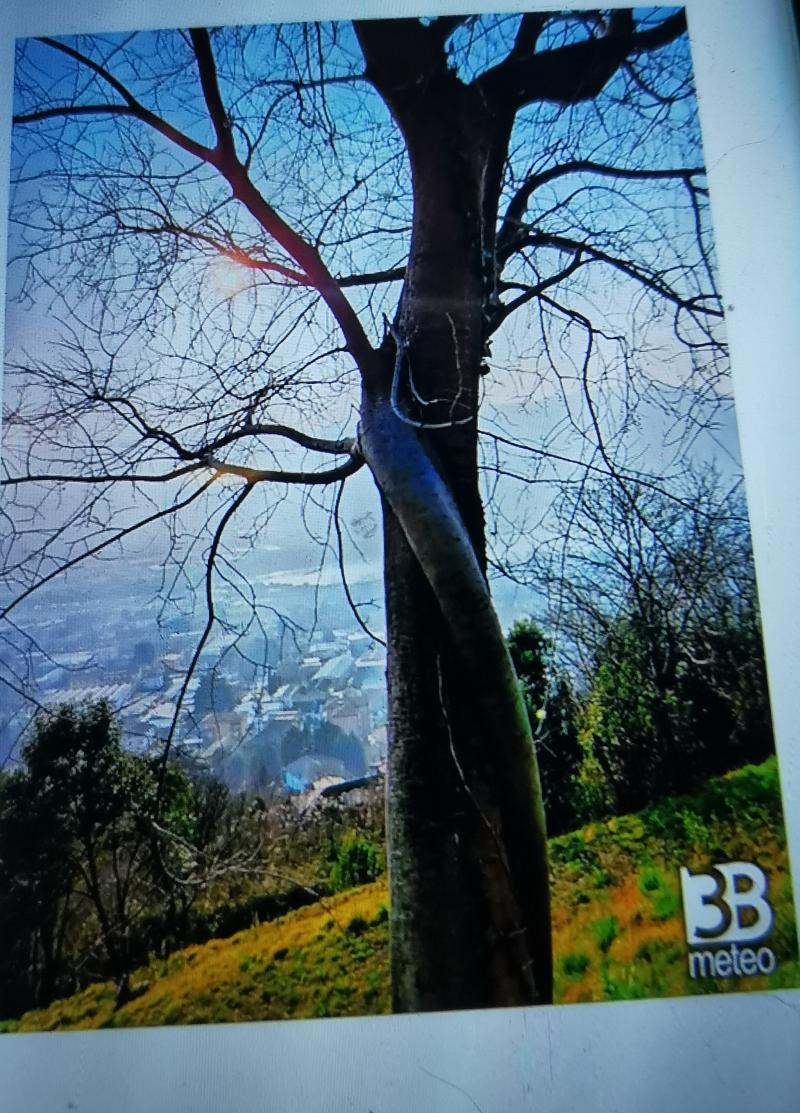 siete ripetitivi foto gia' pubblicata domenica 12 01