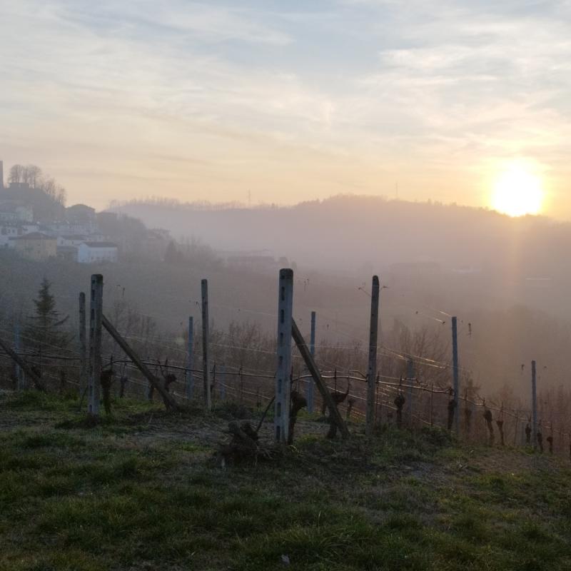 Fotosegnalazione di Cassinasco