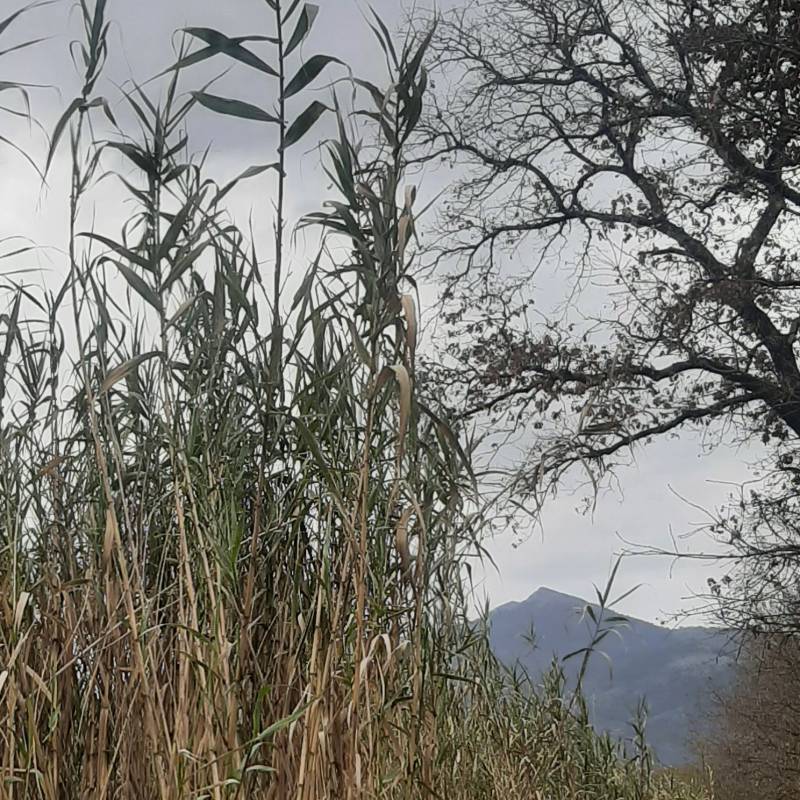 Fotosegnalazione di Maenza