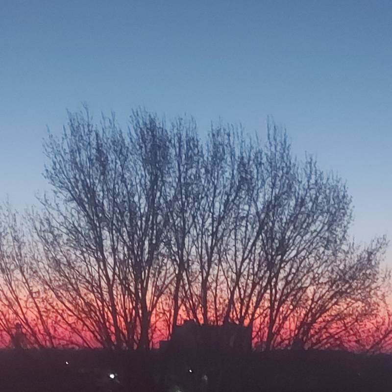 Fotosegnalazione di San giovanni in persiceto