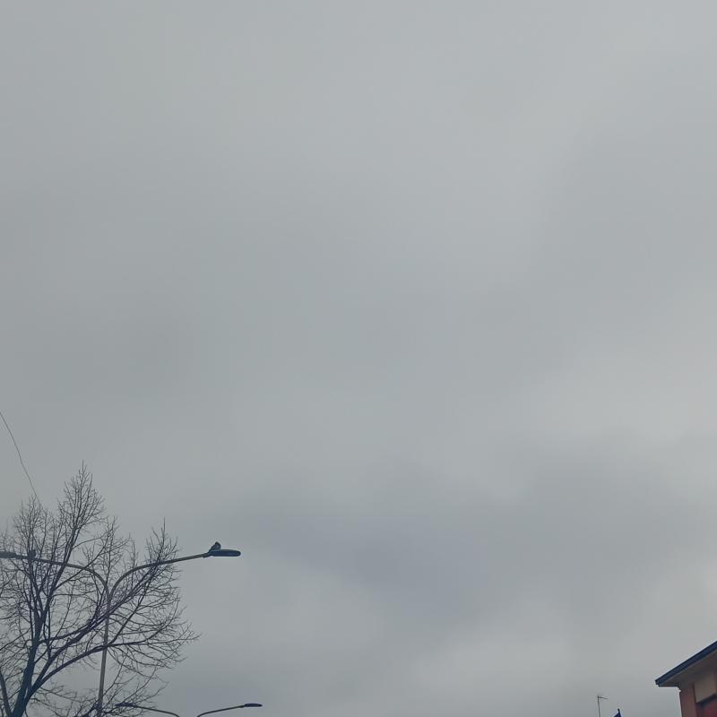 Fotosegnalazione di Jolanda di savoia