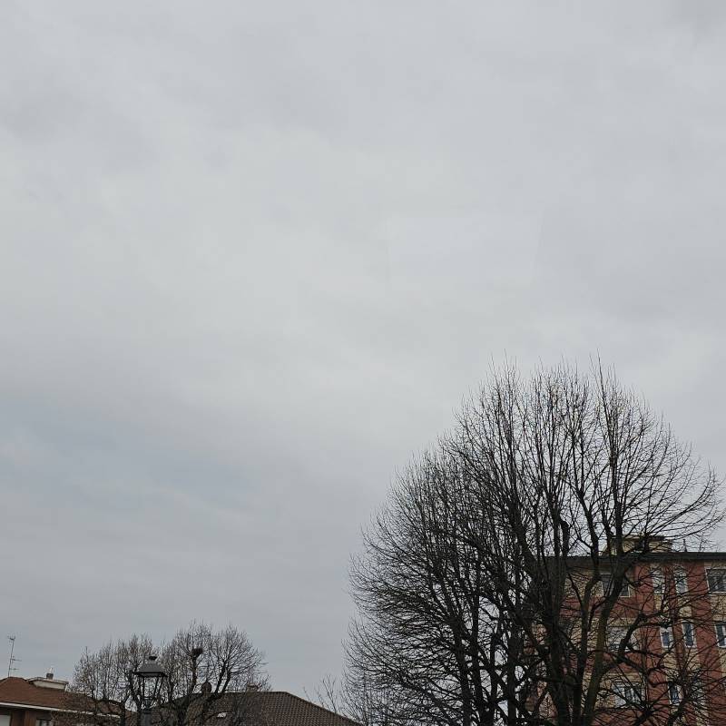 Fotosegnalazione di Moncalieri