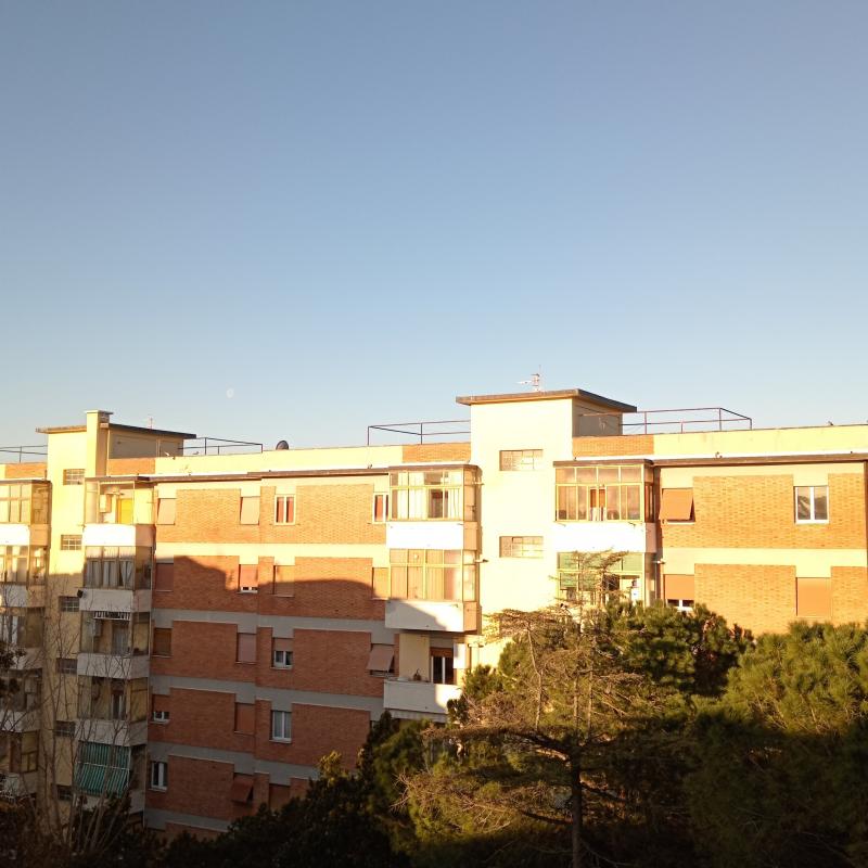 Fotosegnalazione di Grosseto centro urbano