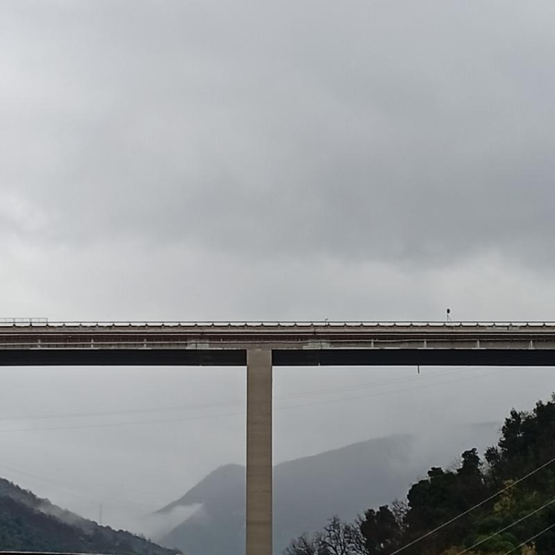 Fotosegnalazione di Genova levante litorale