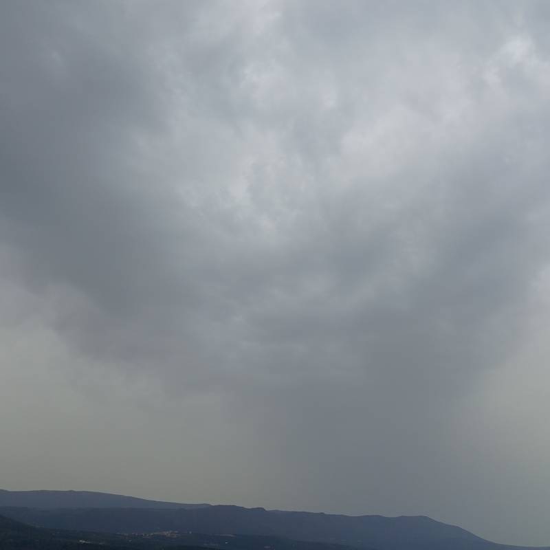 Fotosegnalazione di Carpino