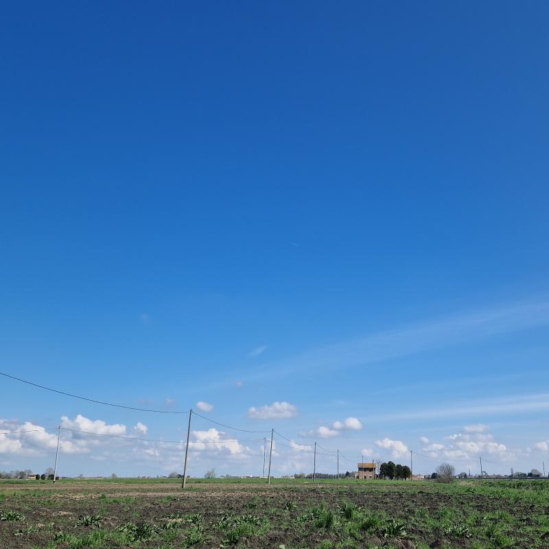 Fotosegnalazione di Jolanda di savoia