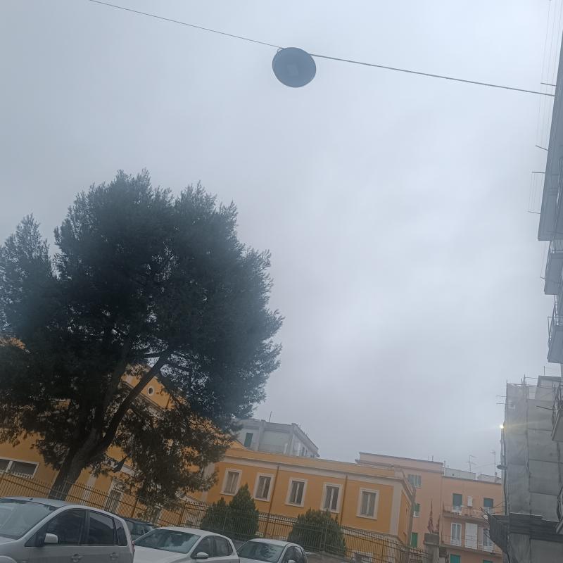 Fotosegnalazione di Martina franca