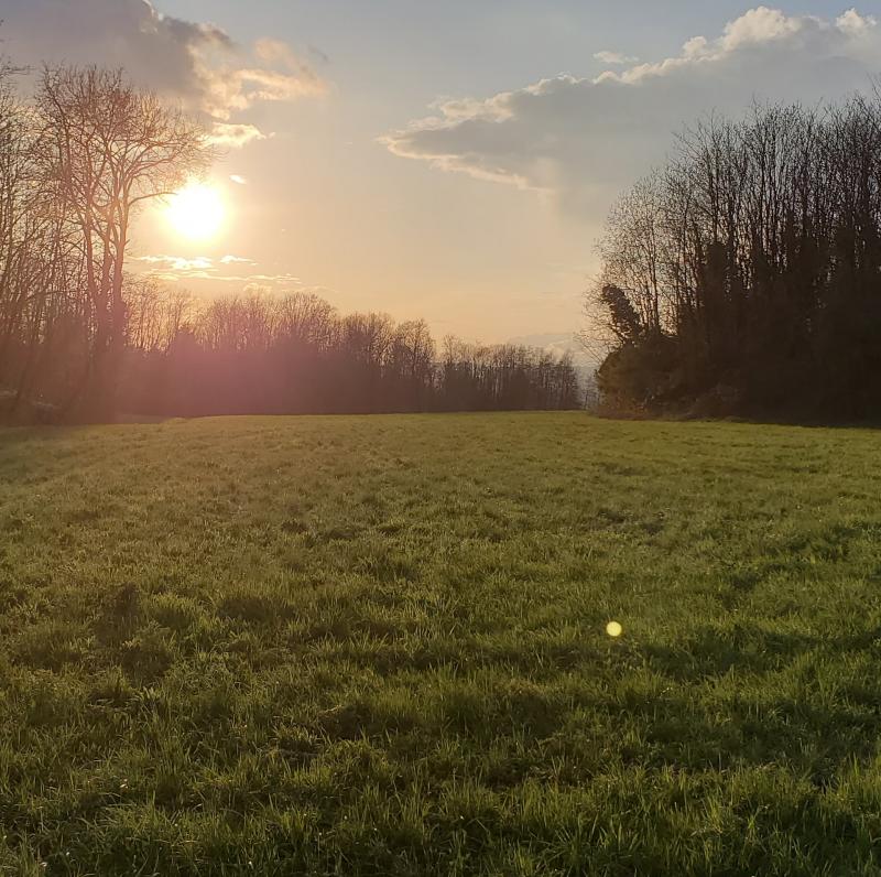 forse la primavera