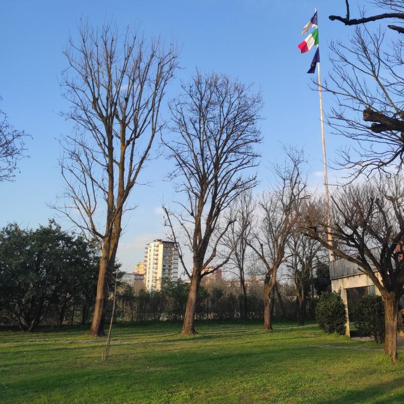 Fotosegnalazione di Pavia sud