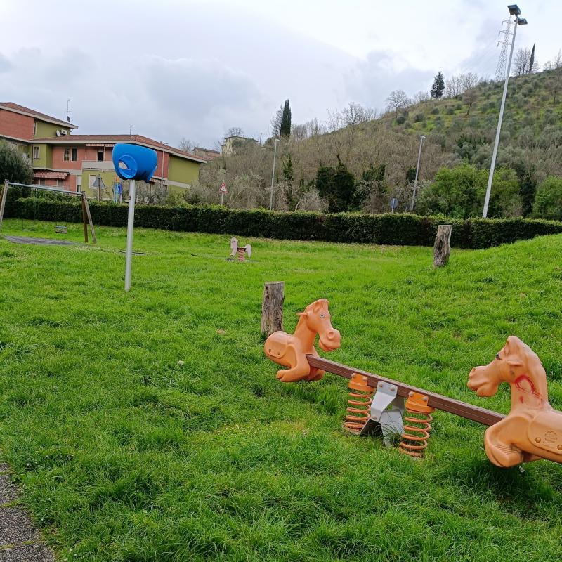 Fotosegnalazione di San francesco