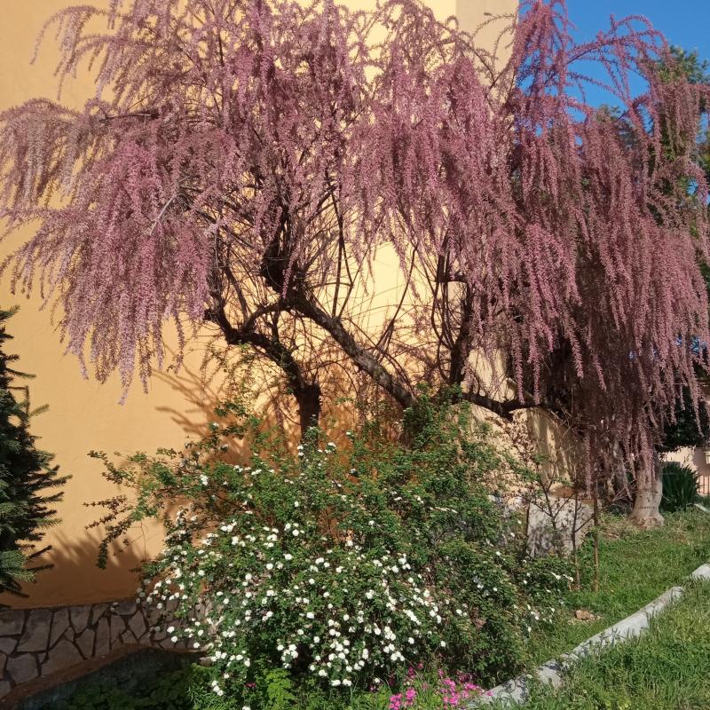 Fotosegnalazione di Palombara sabina