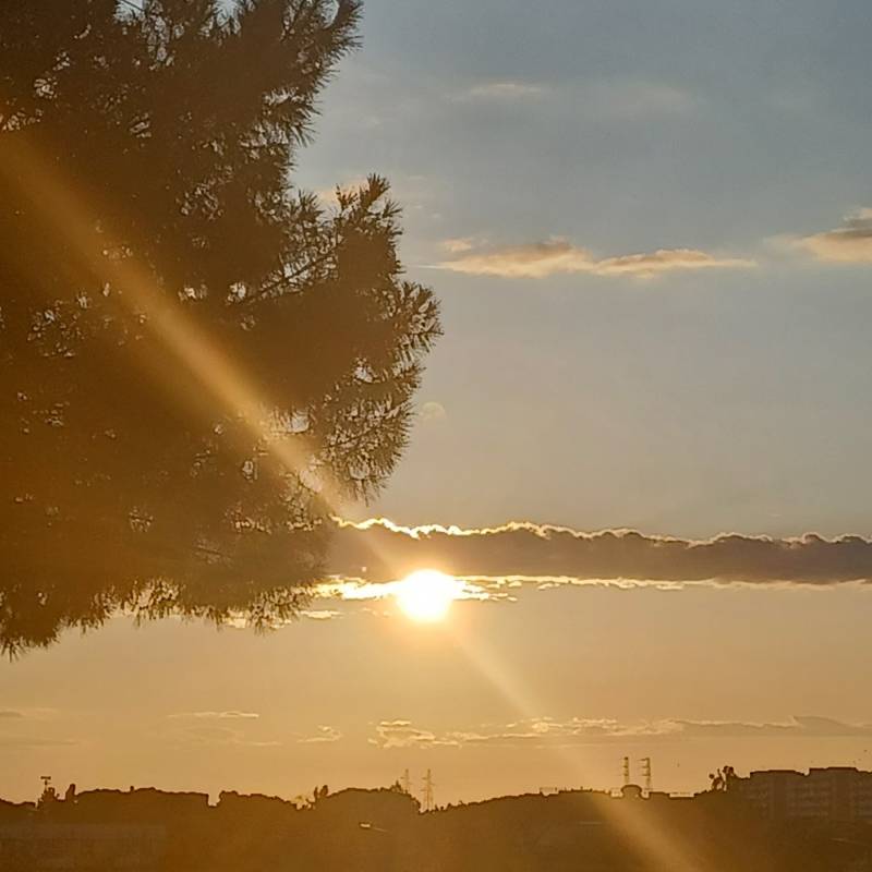 Fotosegnalazione di Roma torre maura