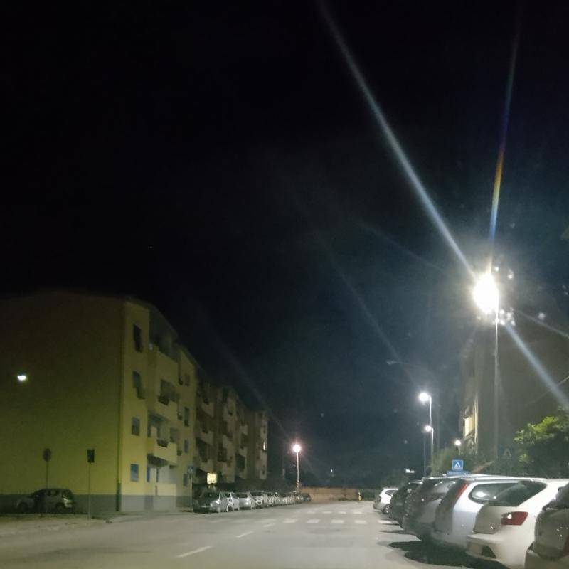 Fotosegnalazione di Palermo villagrazia - falsomiele