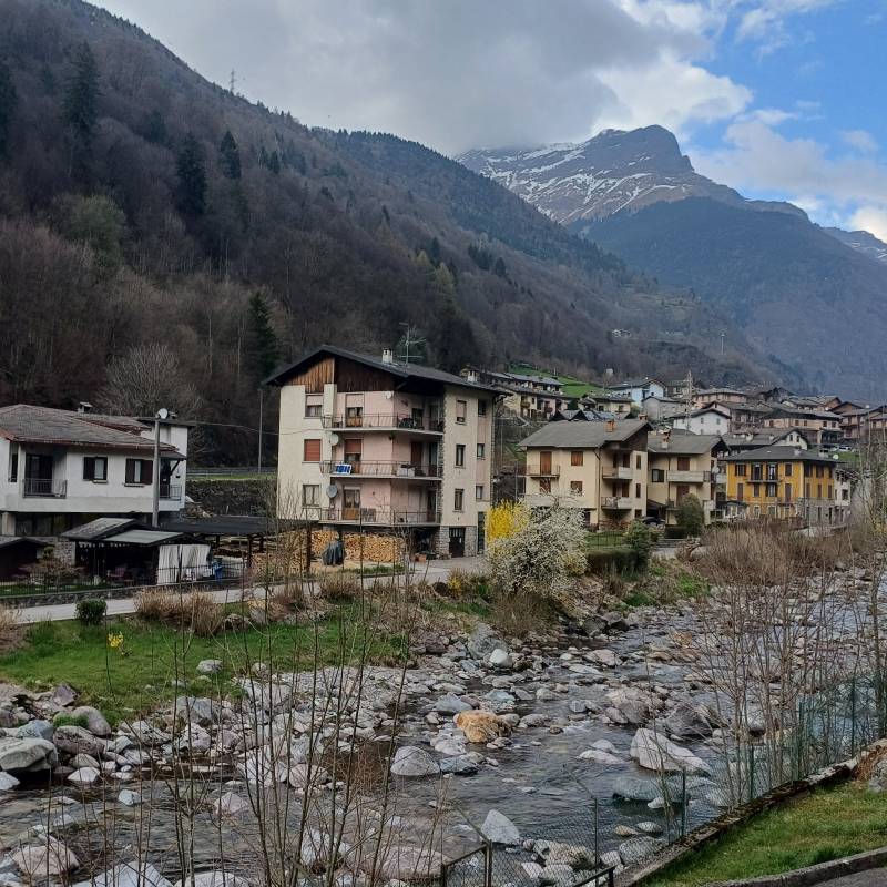 Fotosegnalazione di Gandellino