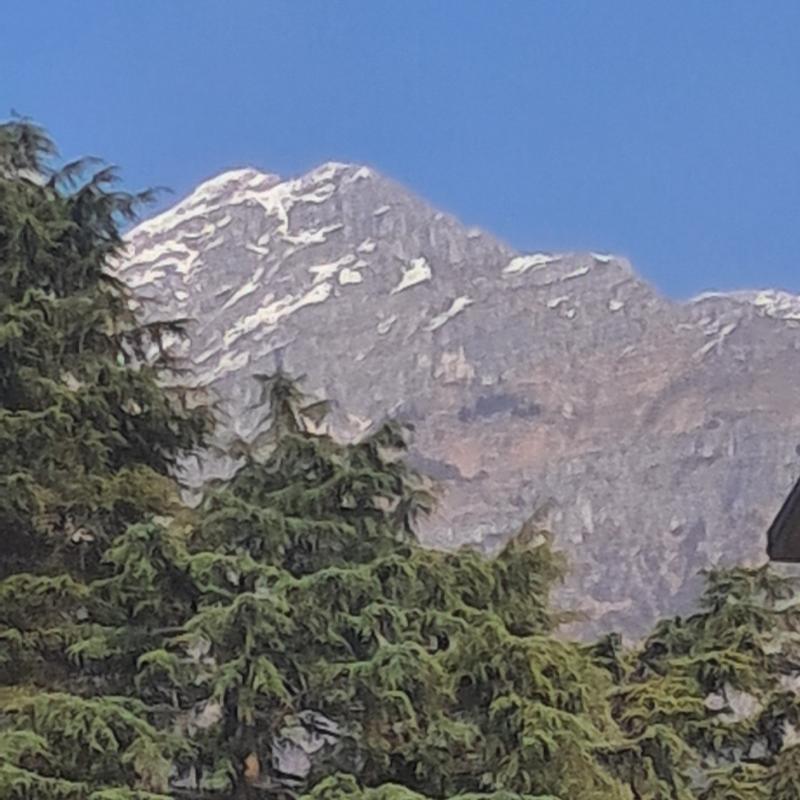 Fotosegnalazione di Germanedo