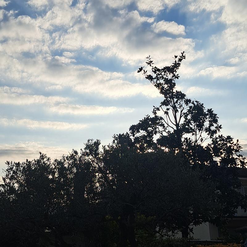 Fotosegnalazione di Viareggio