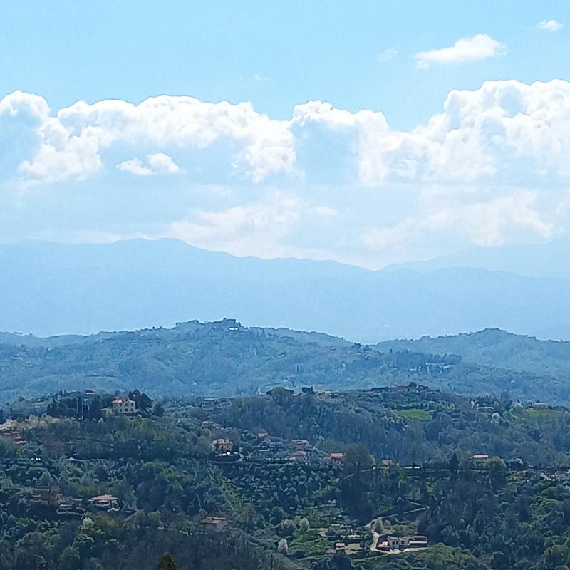 Fotosegnalazione di Olevano romano