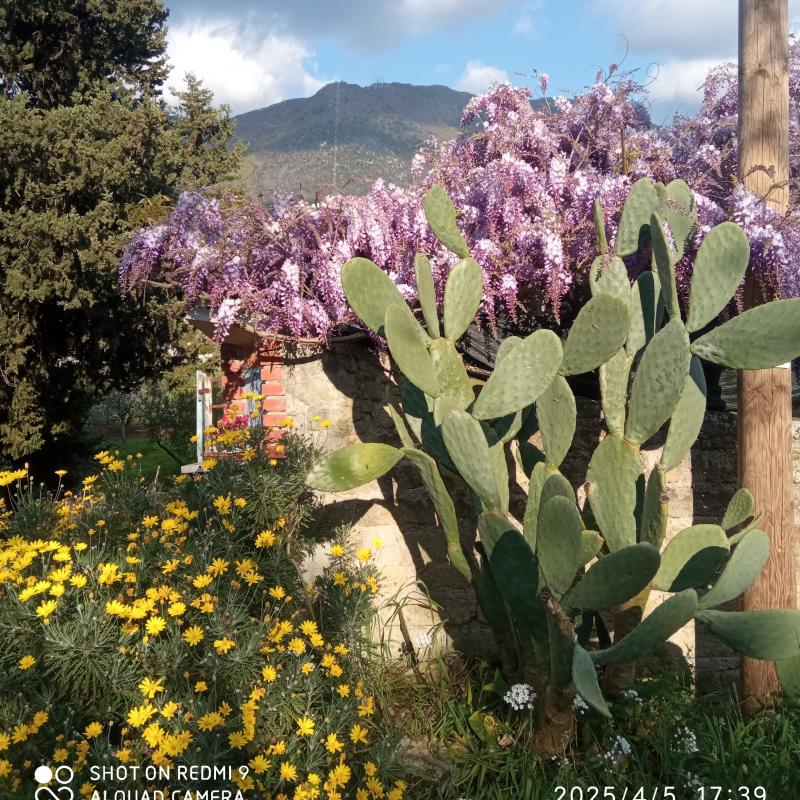 Fotosegnalazione di Palombara sabina