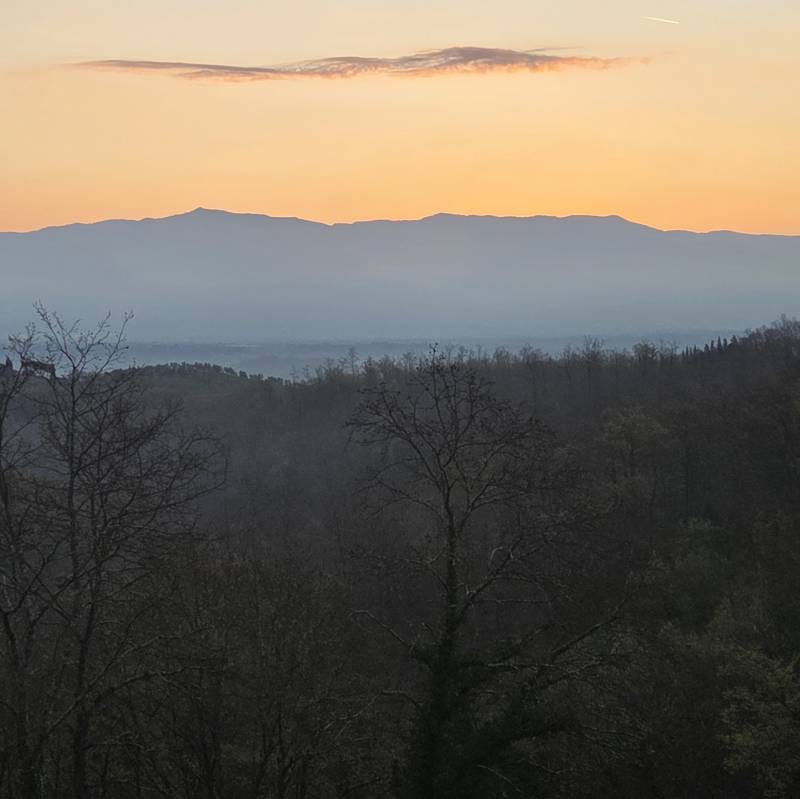 Fotosegnalazione di Figline e incisa valdarno