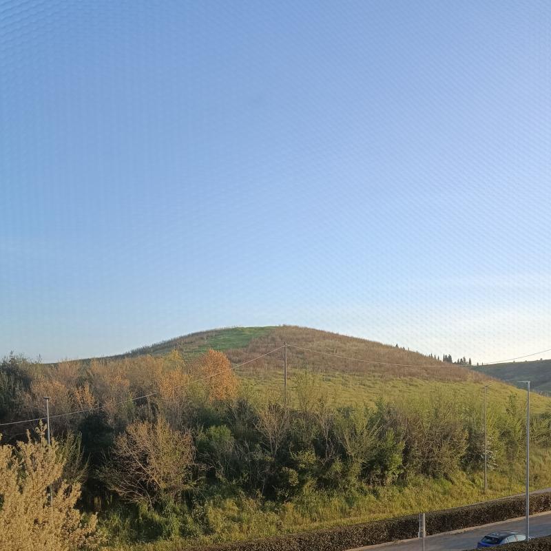 Fotosegnalazione di Certaldo