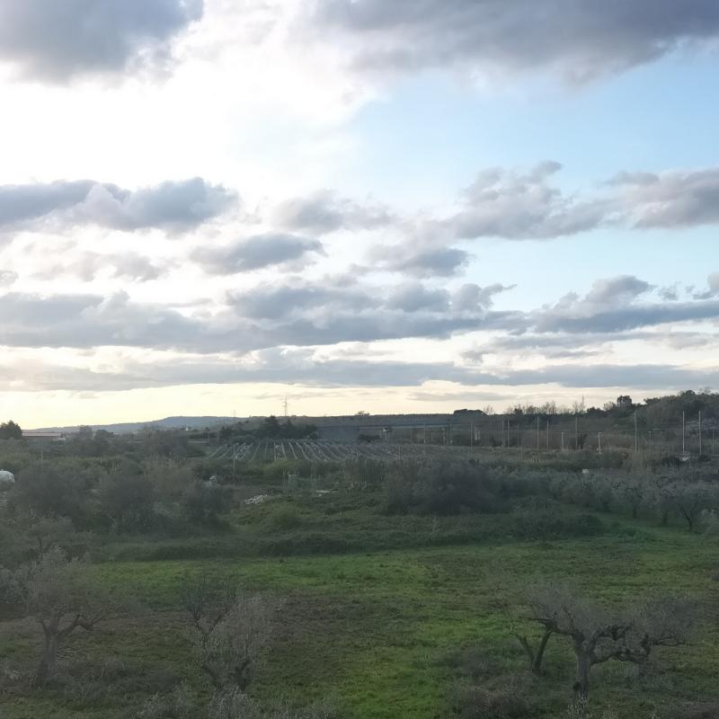 Fotosegnalazione di Vasto