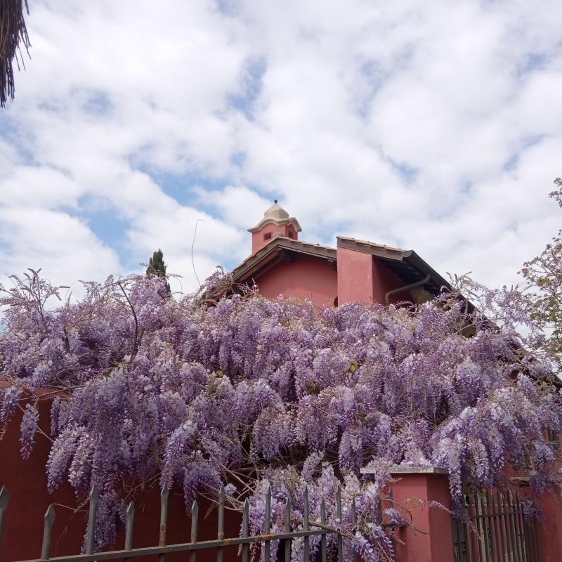Fotosegnalazione di Palombara sabina