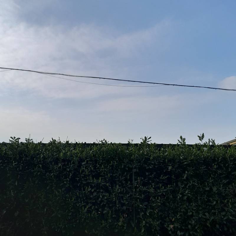 Fotosegnalazione di Pratiglione