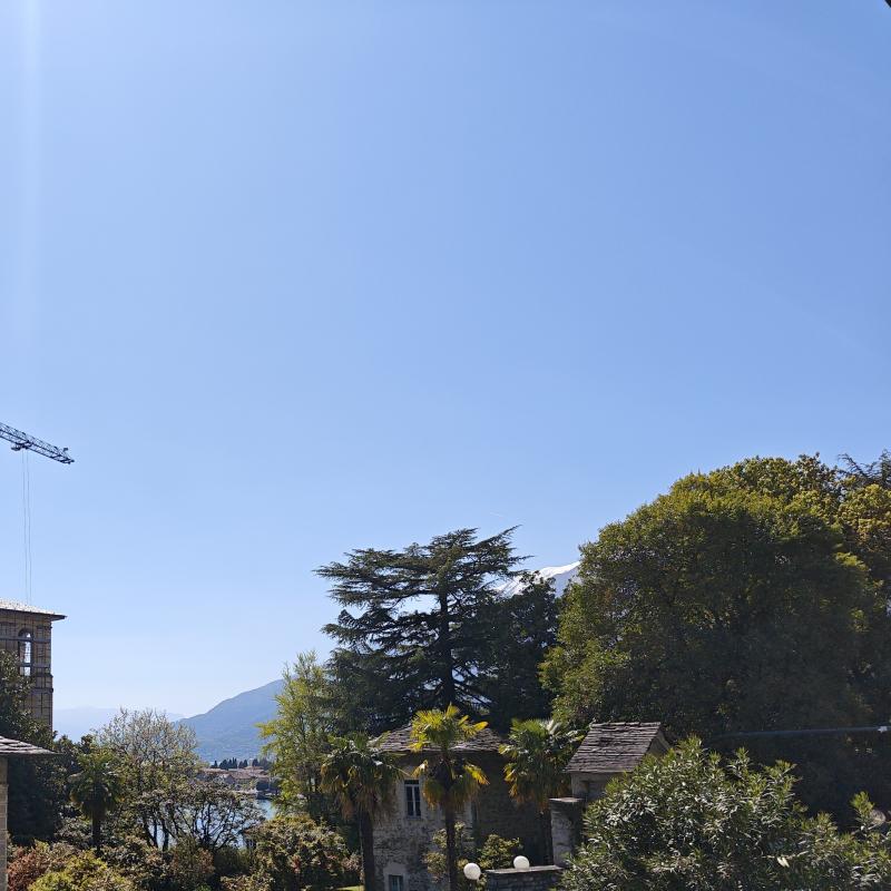 Fotosegnalazione di Gravedona ed uniti