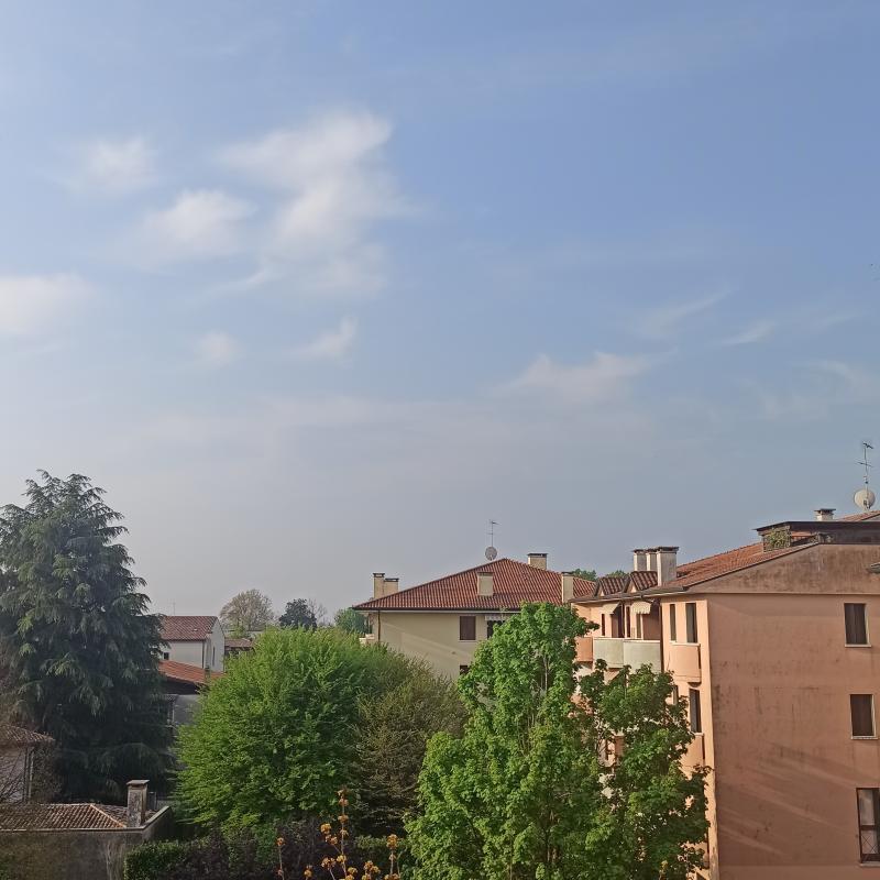 Fotosegnalazione di Spresiano