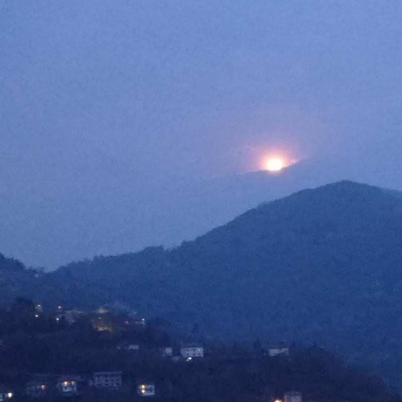 Luna rosa