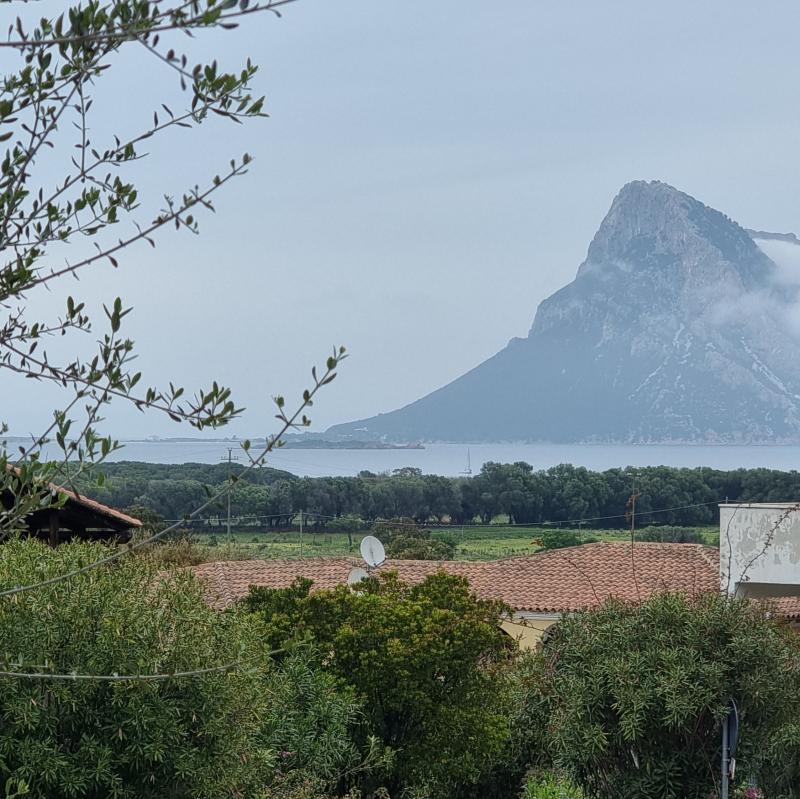 Fotosegnalazione di Loiri porto san paolo