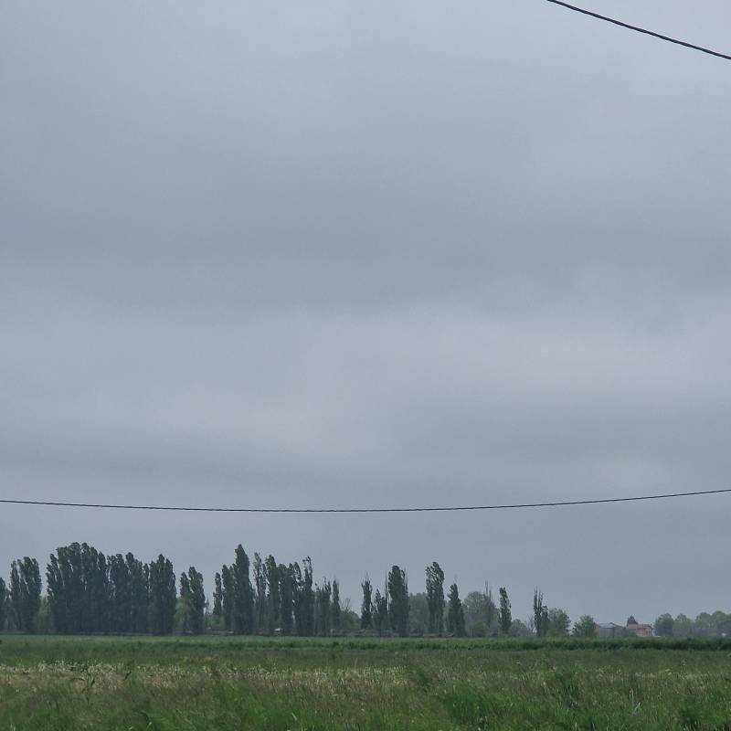 Fotosegnalazione di Jolanda di savoia