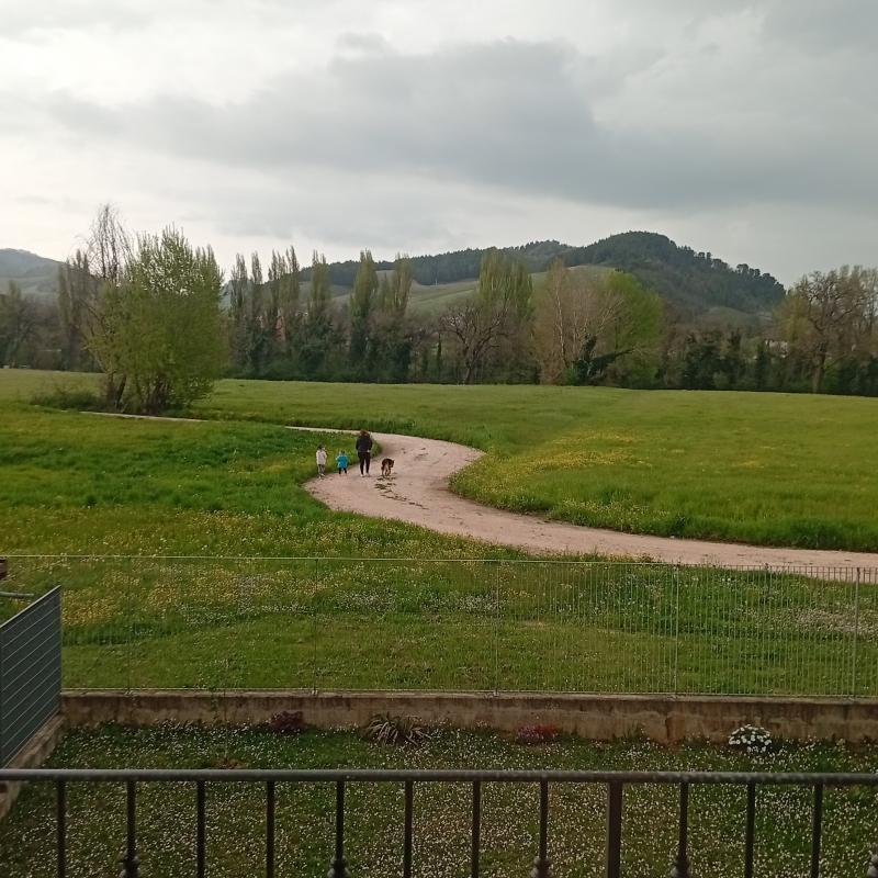 Fotosegnalazione di Sant'angelo in vado