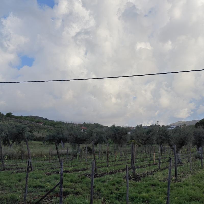 Fotosegnalazione di Casal velino
