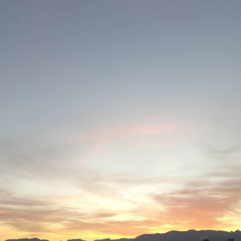 Fotosegnalazione di Alcamo
