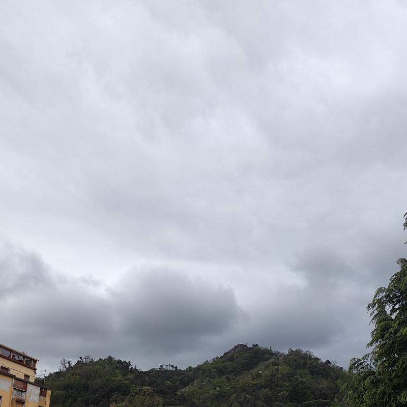 Fotosegnalazione di Carrara centro urbano