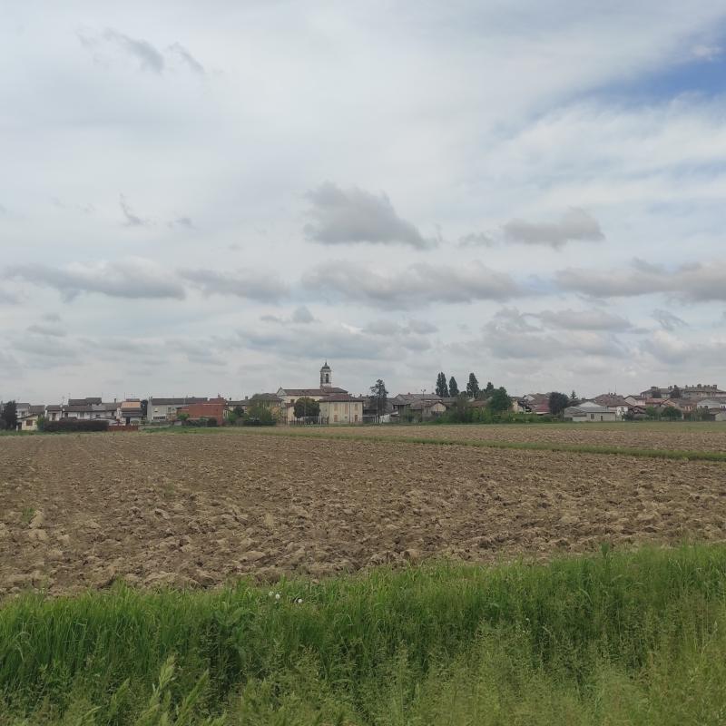 Fotosegnalazione di Zerbo