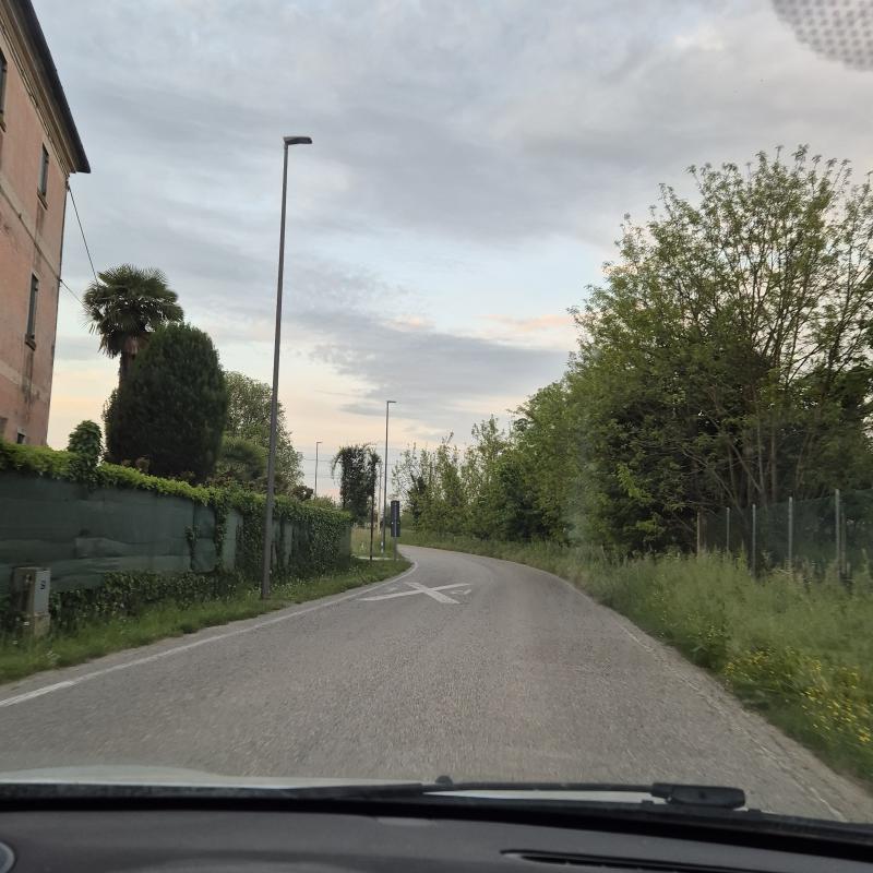 Fotosegnalazione di Castelfranco veneto