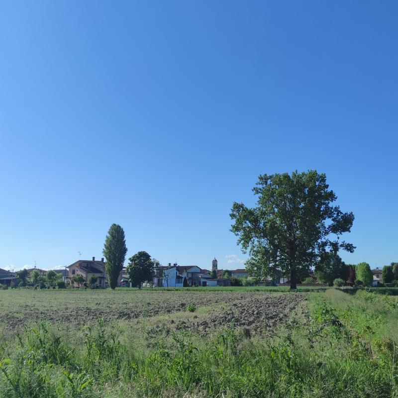 Fotosegnalazione di Zerbo