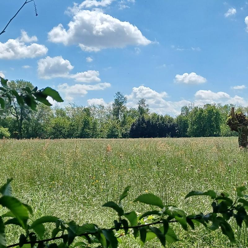 Fotosegnalazione di Castenedolo