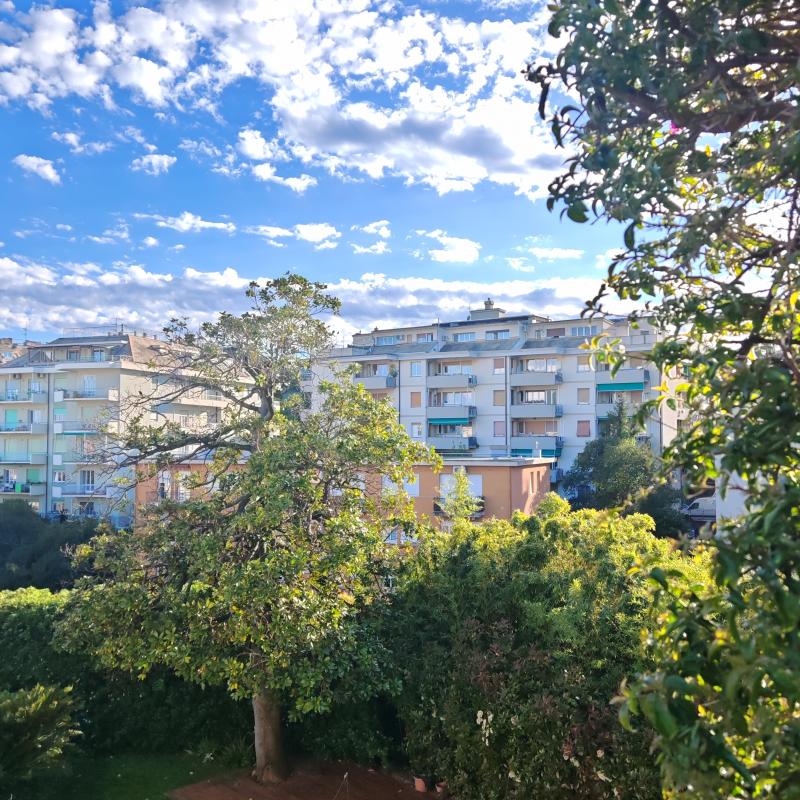 Fotosegnalazione di Genova sturla