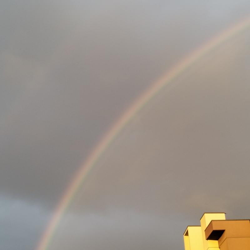Fotosegnalazione di Forli' ridolfi