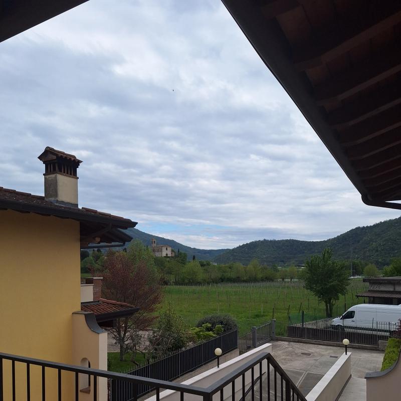 Fotosegnalazione di Monticelli brusati