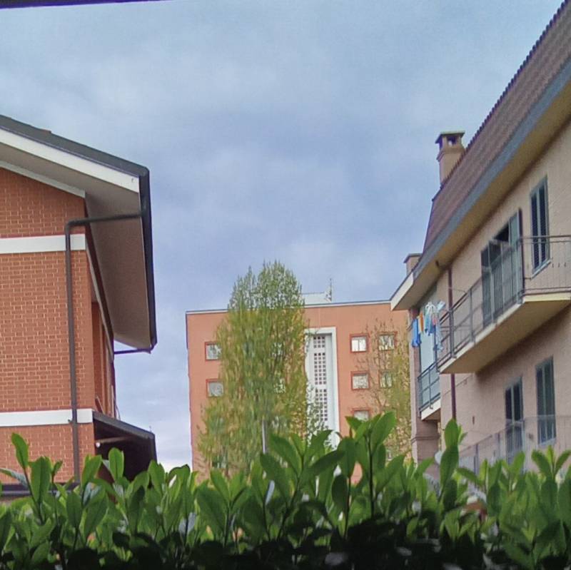 Fotosegnalazione di Nichelino