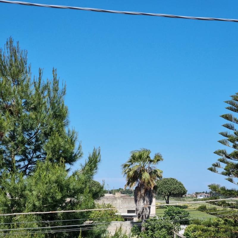 Fotosegnalazione di Lecce centro urbano
