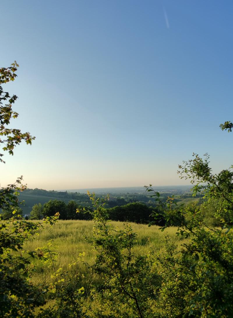 cielo limpido