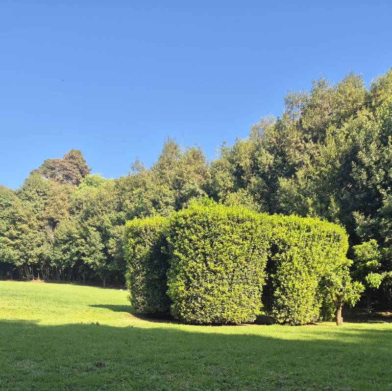 Fotosegnalazione di Sassari periferia ovest - caniga